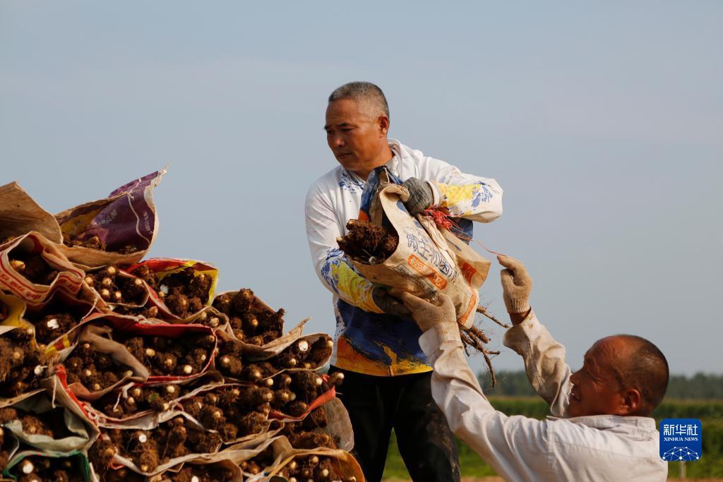 巴适游戏官网